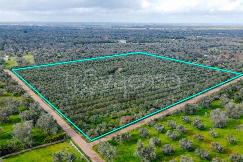 immagine annuncio 10 di 11