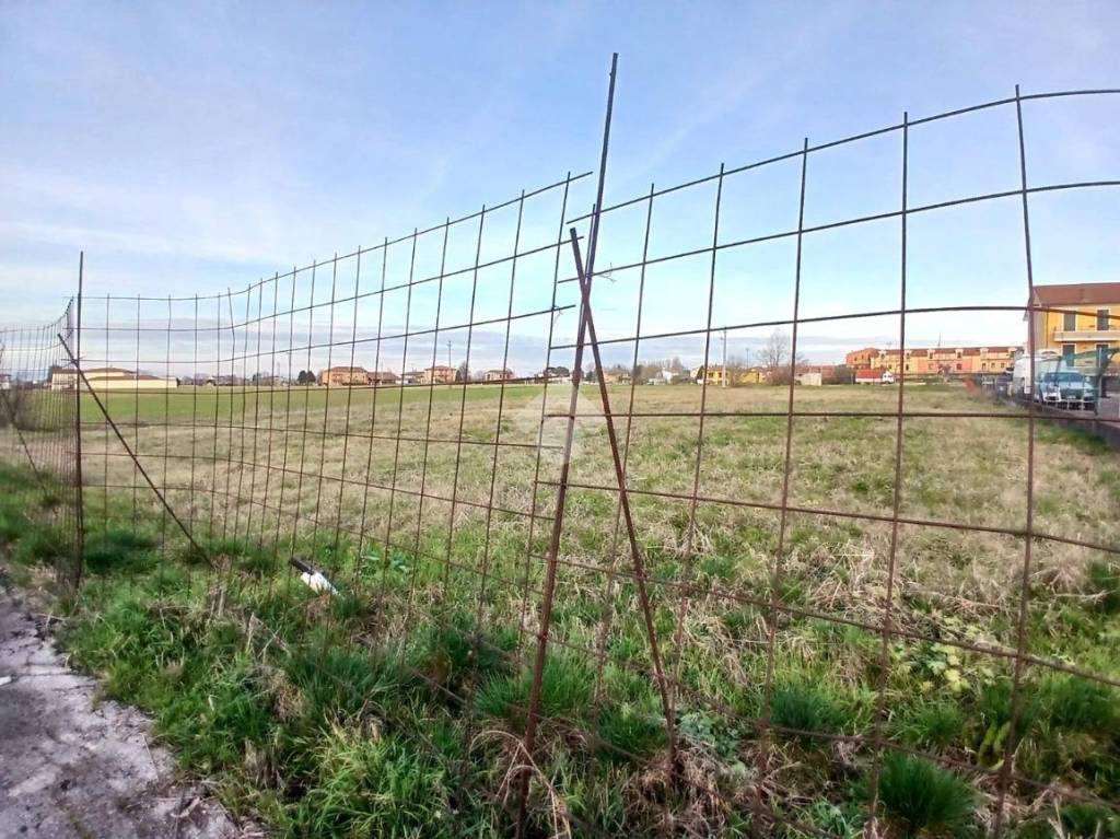 immagine annuncio 5 di 7