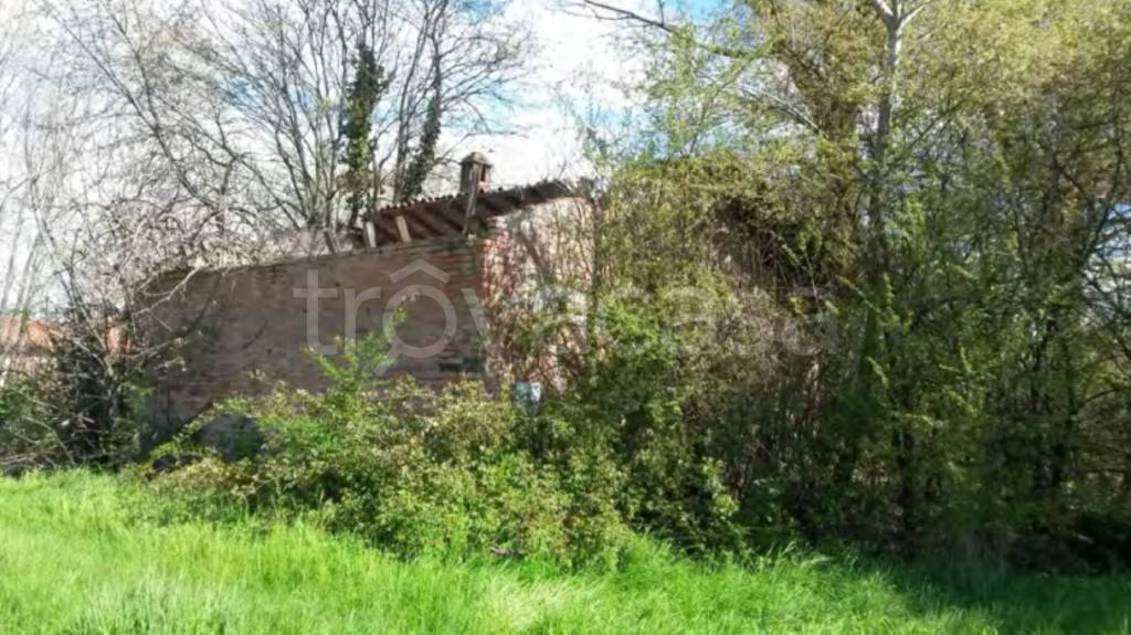 immagine annuncio 5 di 12