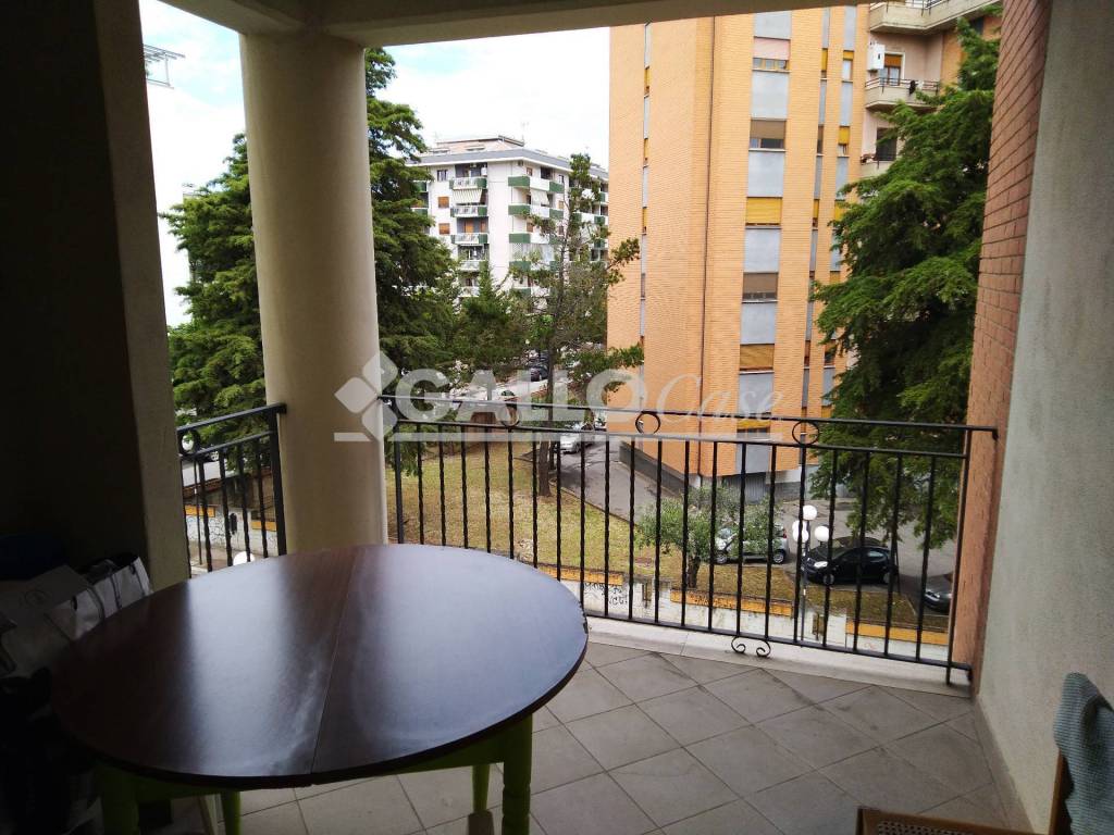 immagine annuncio 4 di 13