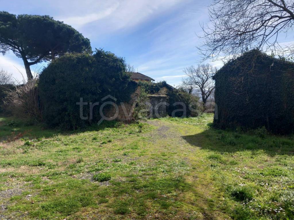 immagine annuncio 5 di 7