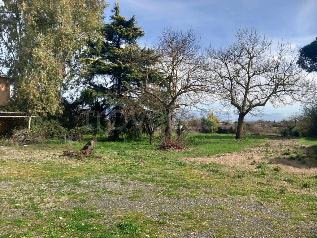 immagine annuncio 4 di 7