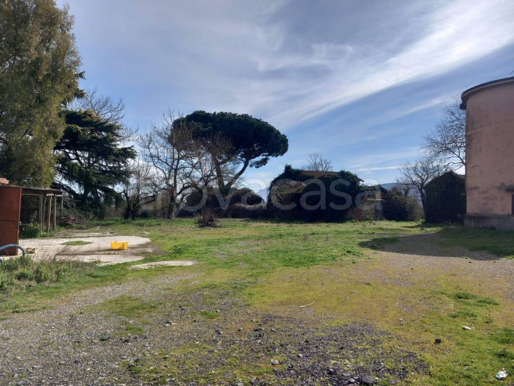 immagine annuncio 6 di 7