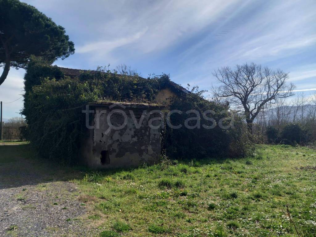 immagine annuncio 3 di 7