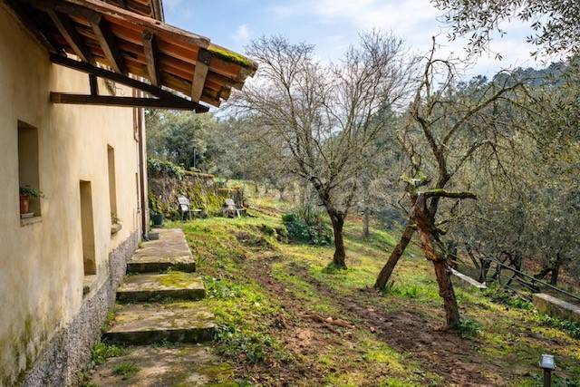 immagine annuncio 2 di 11