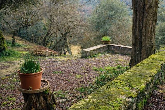 immagine annuncio 4 di 11