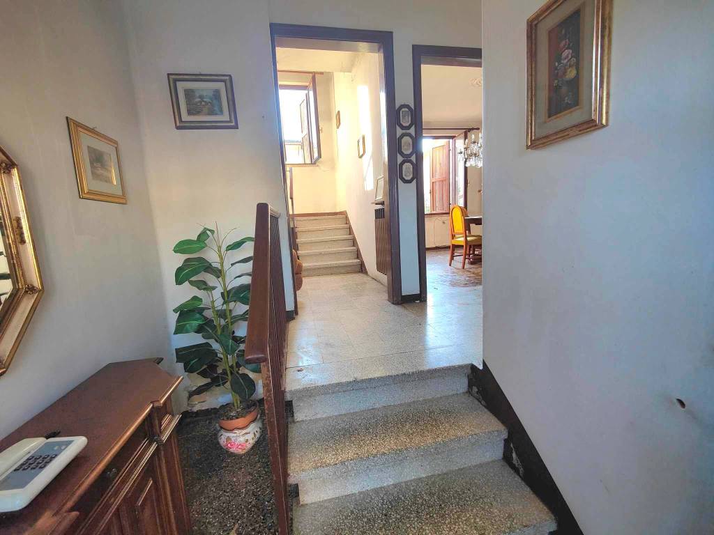 immagine annuncio 7 di 14