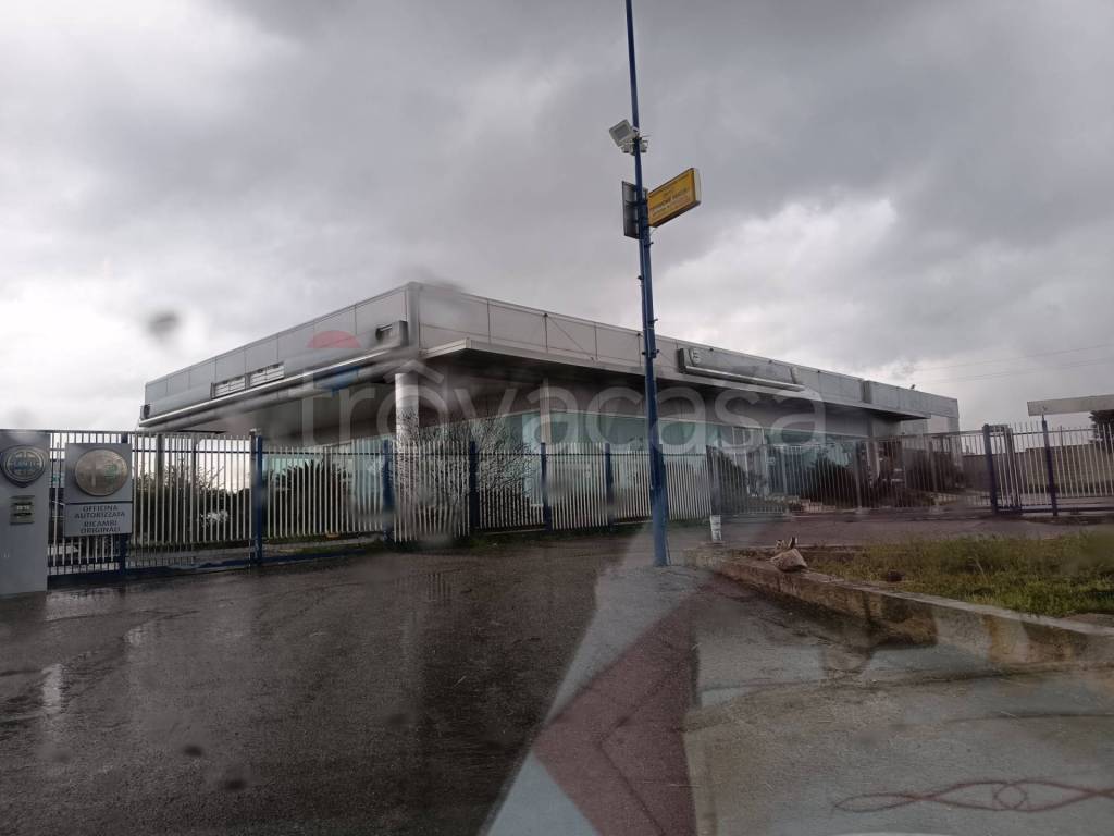 immagine annuncio 2 di 8