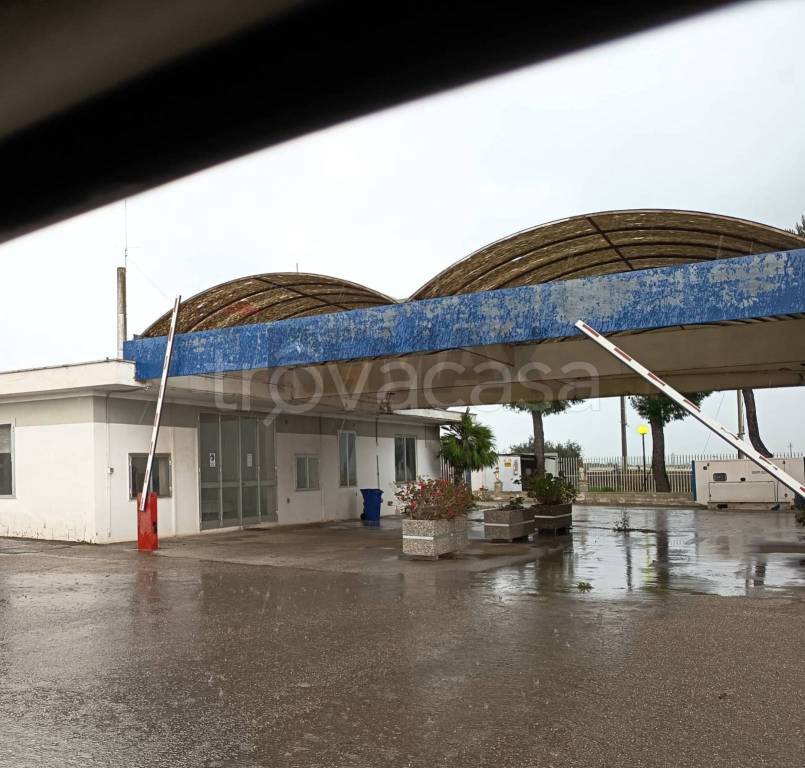 immagine annuncio 3 di 8