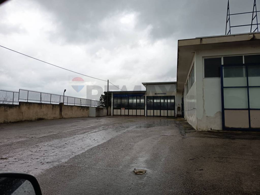 immagine annuncio 6 di 8