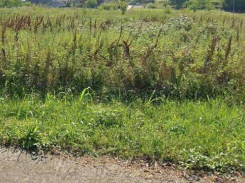 appartamento in vendita a Gardone Riviera