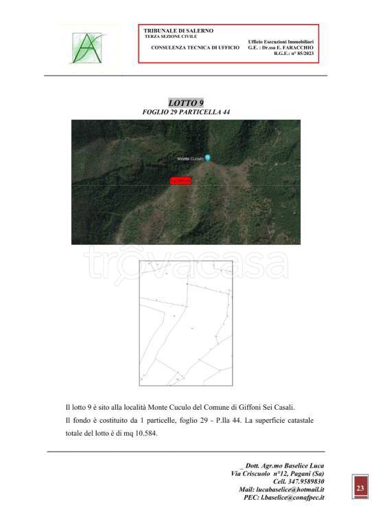 immagine annuncio 3 di 15