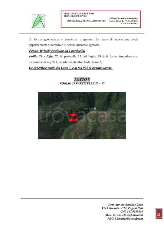 immagine annuncio 3 di 15