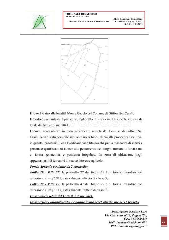 immagine annuncio 4 di 15