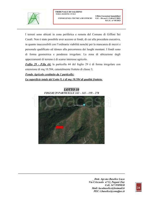 immagine annuncio 3 di 15