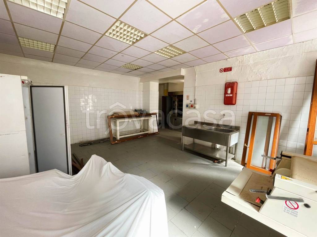 immagine annuncio 7 di 12