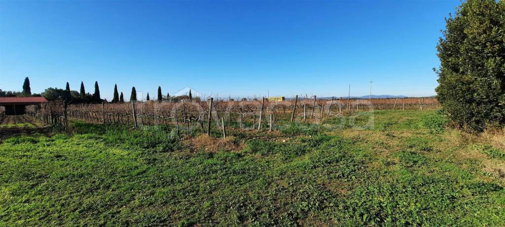 immagine annuncio 2 di 8