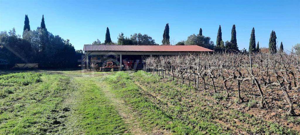 immagine annuncio 4 di 8