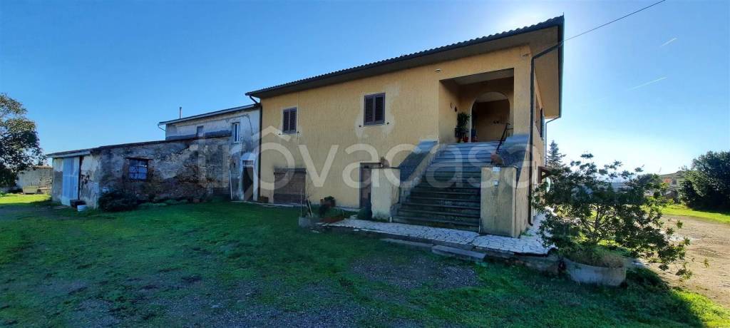 immagine annuncio 5 di 8