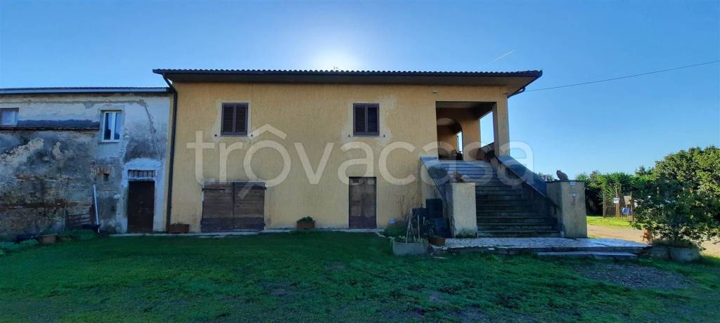 immagine annuncio 6 di 8