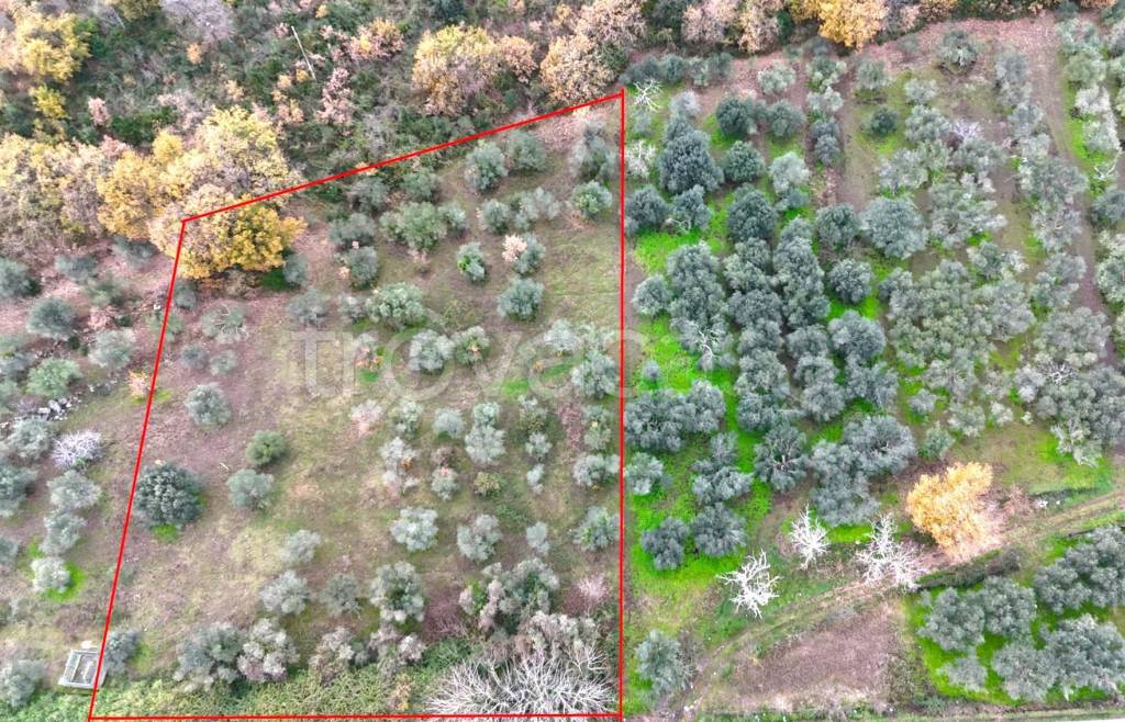 immagine annuncio 1 di 2