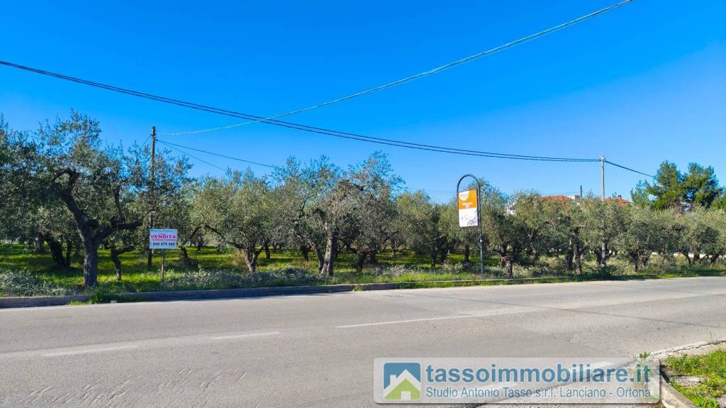 immagine annuncio 4 di 14