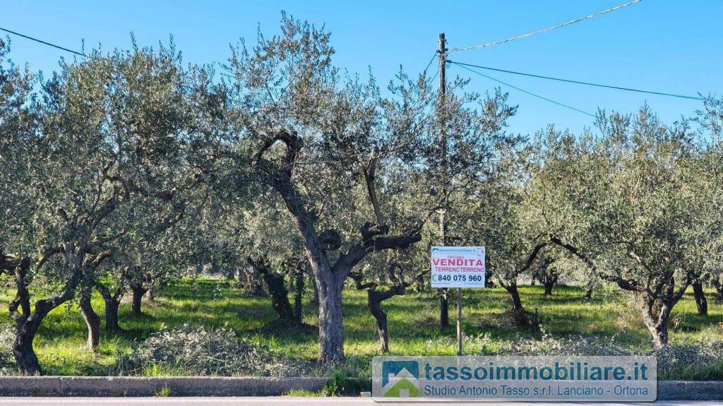 immagine annuncio 5 di 14