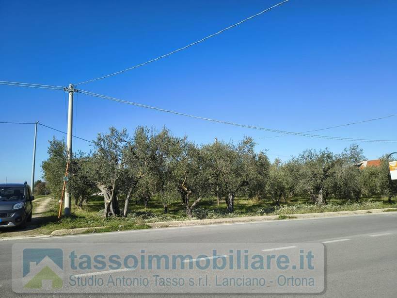 immagine annuncio 8 di 14