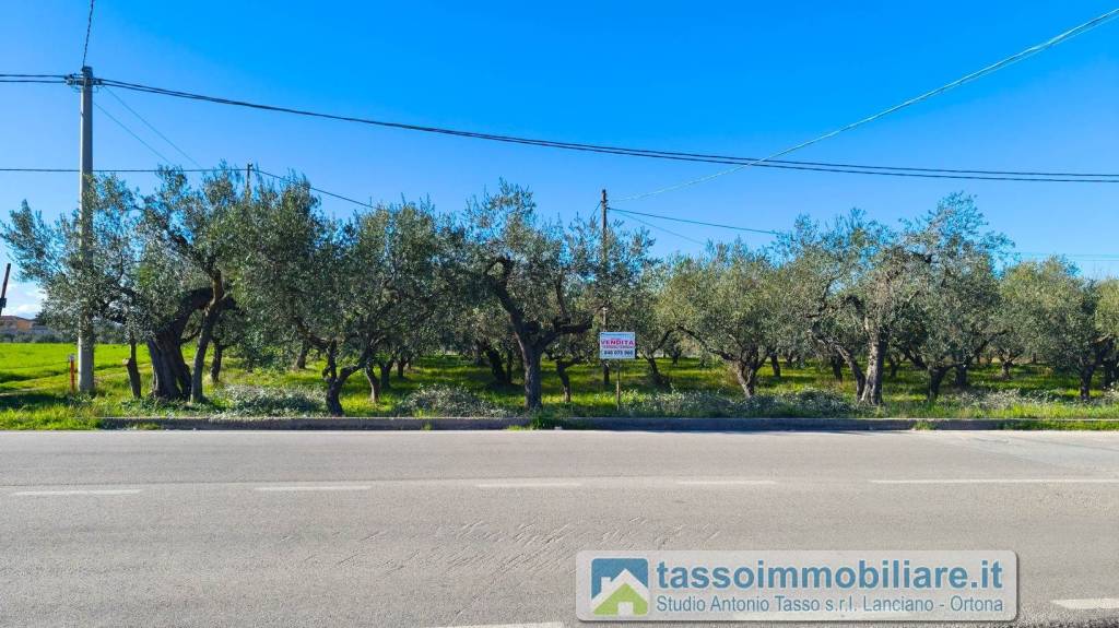 immagine annuncio 11 di 14