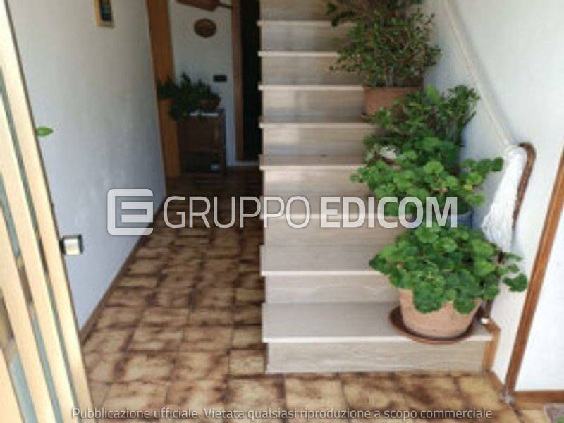 immagine annuncio 1 di 7