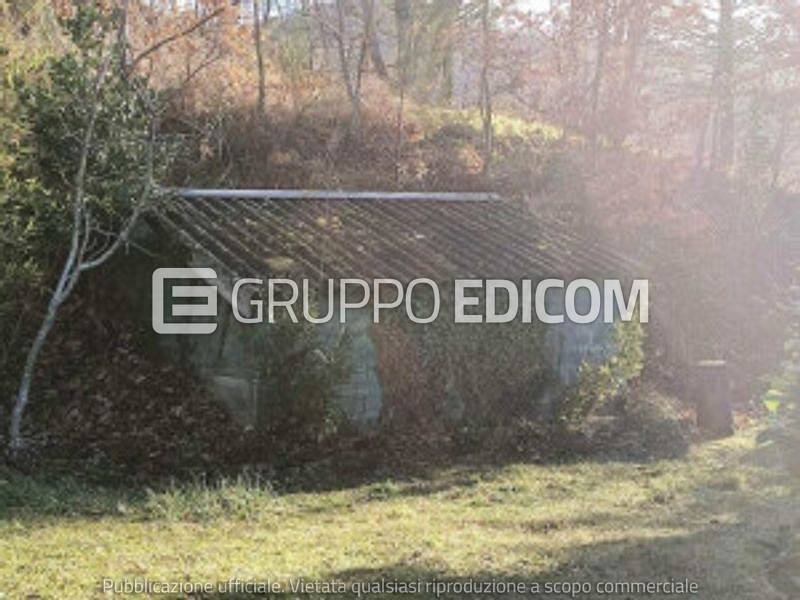 immagine annuncio 4 di 7