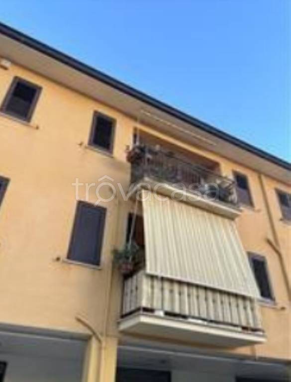 immagine annuncio 4 di 11