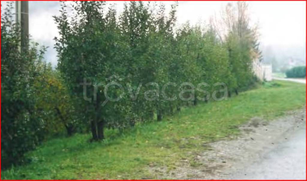 immagine annuncio 5 di 12