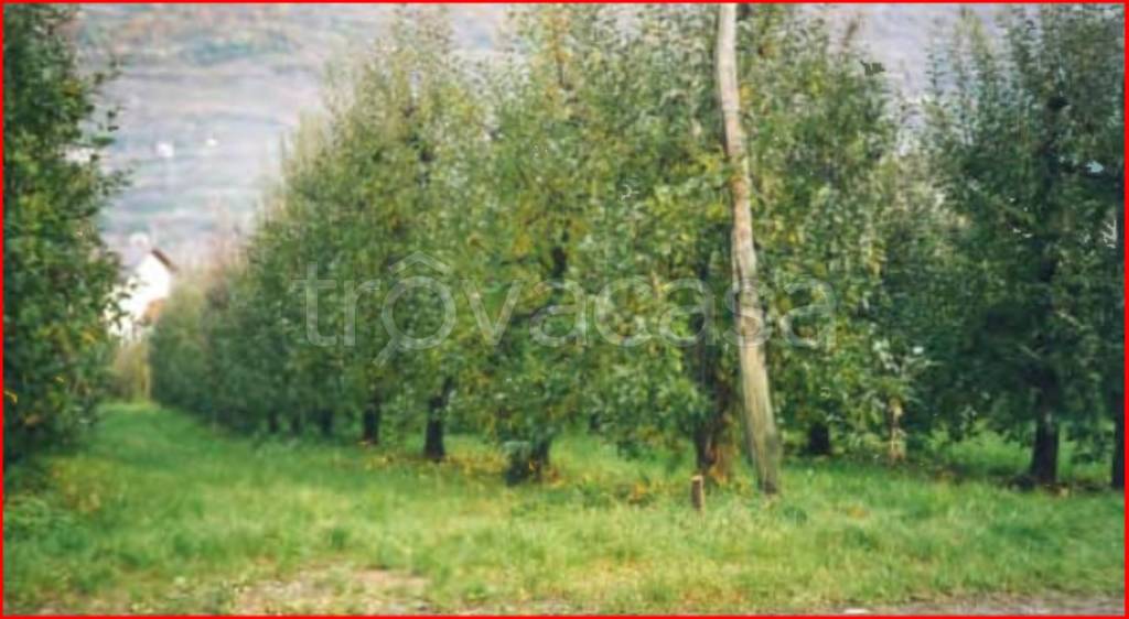 immagine annuncio 6 di 12