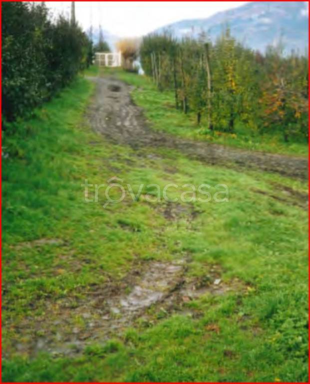 immagine annuncio 8 di 12