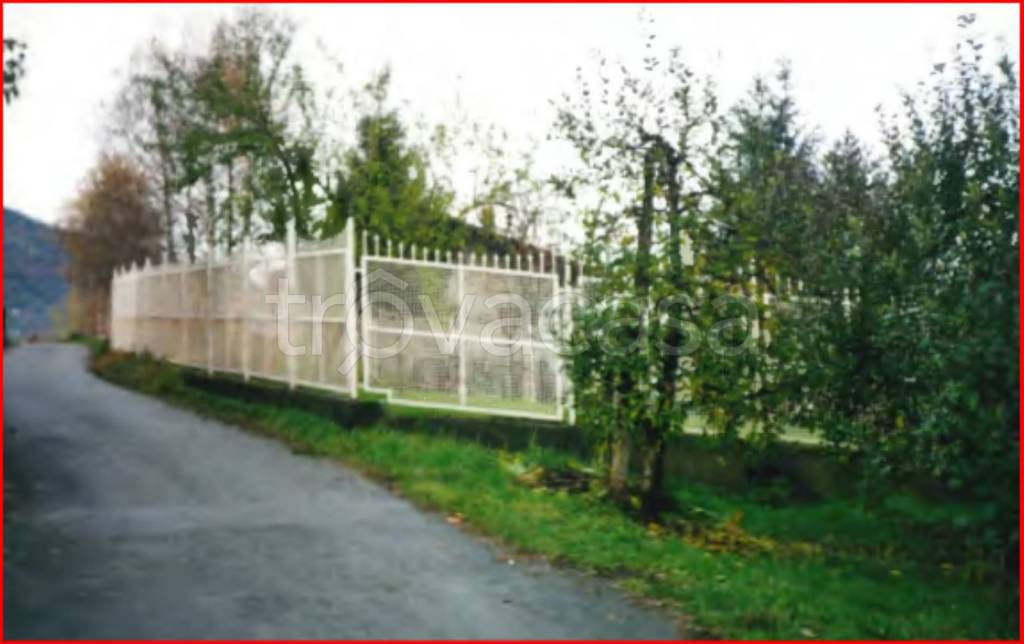 immagine annuncio 9 di 12