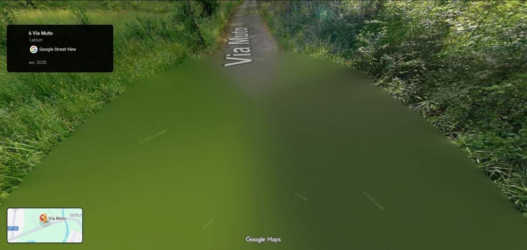 immagine annuncio 6 di 11