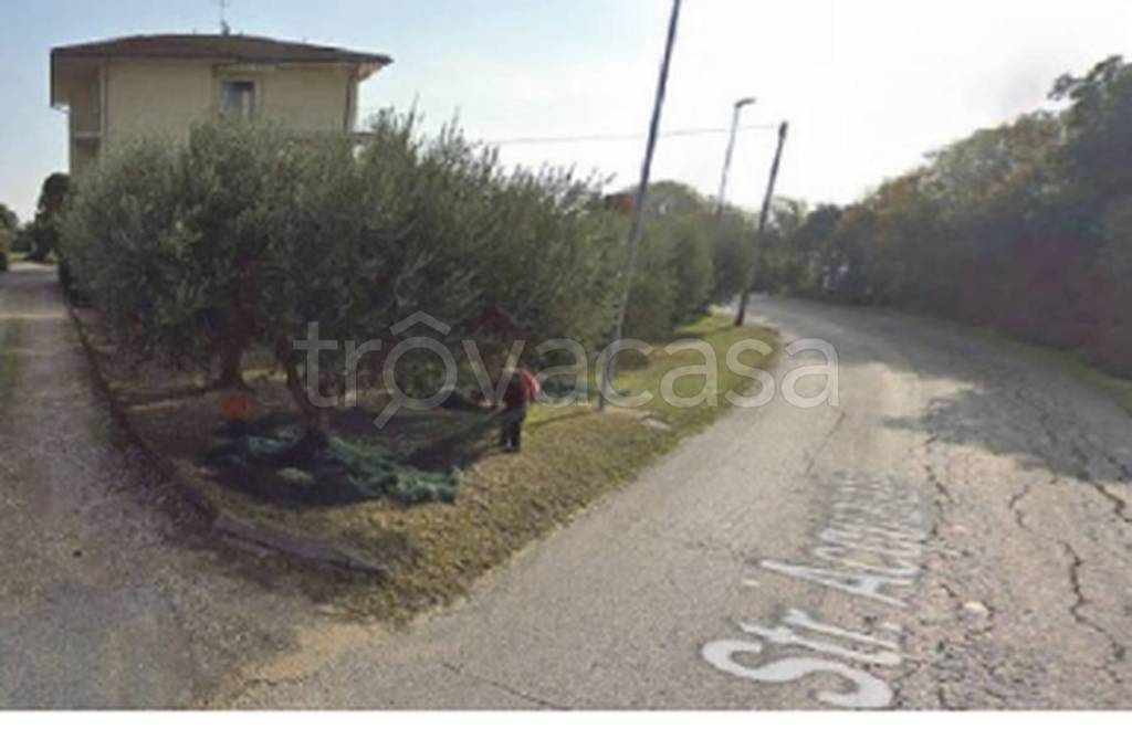 immagine annuncio 3 di 11