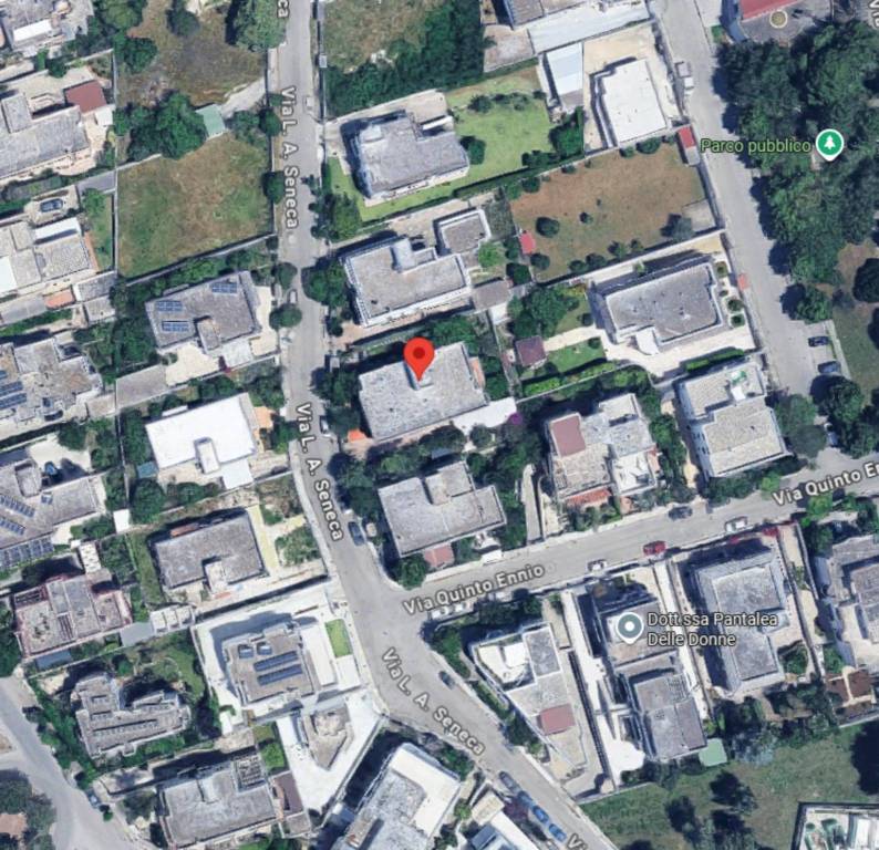 immagine annuncio 9 di 11