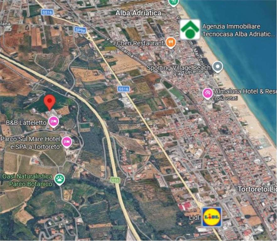 immagine annuncio 11 di 15