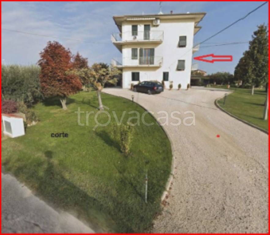 immagine annuncio 1 di 14