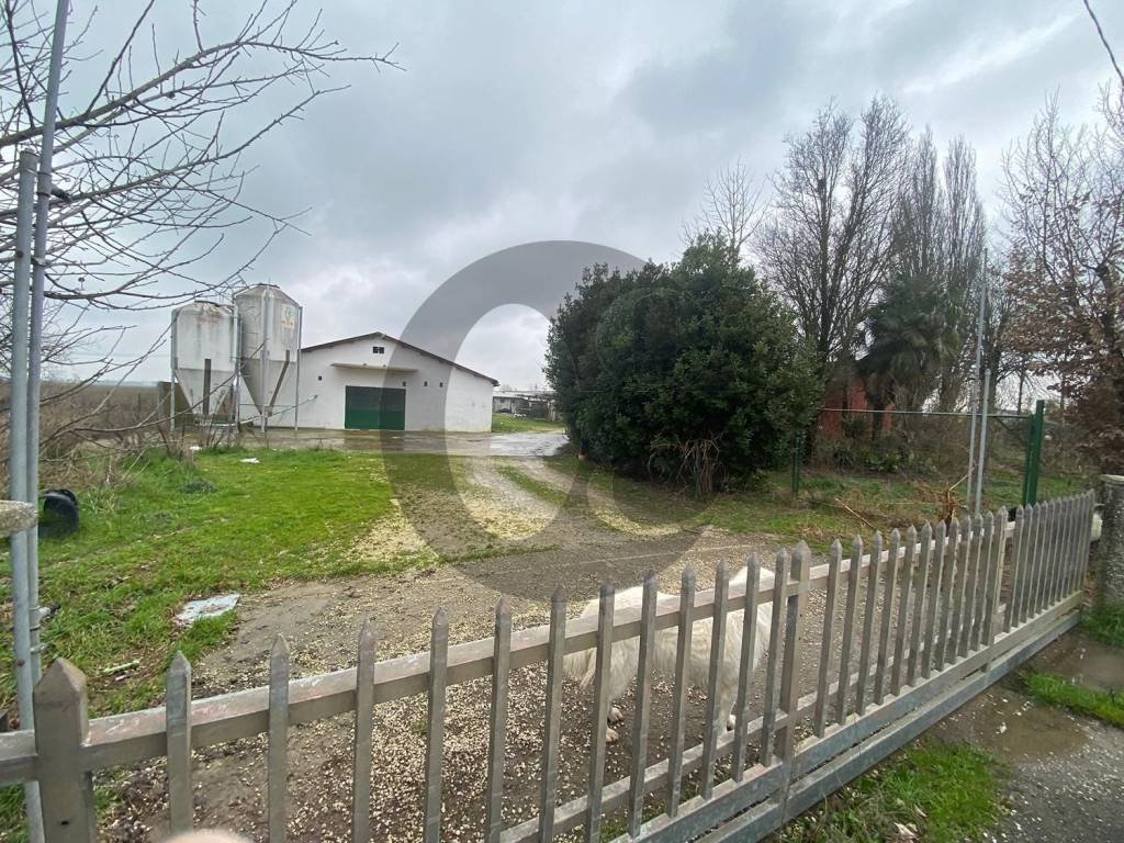 immagine annuncio 3 di 11