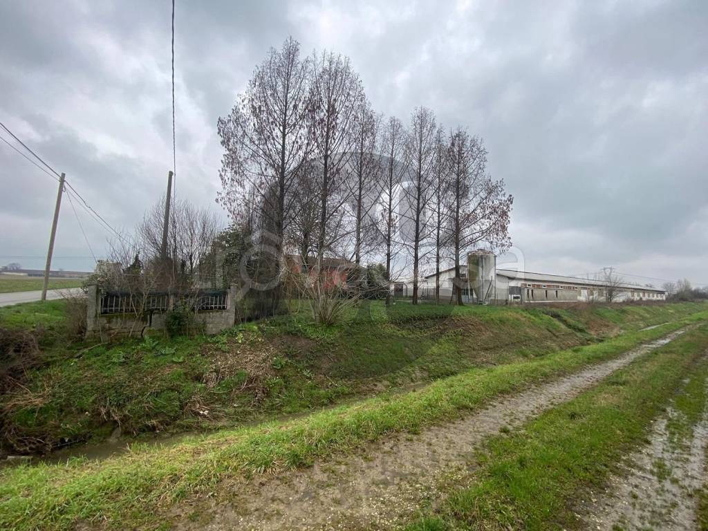 immagine annuncio 5 di 11