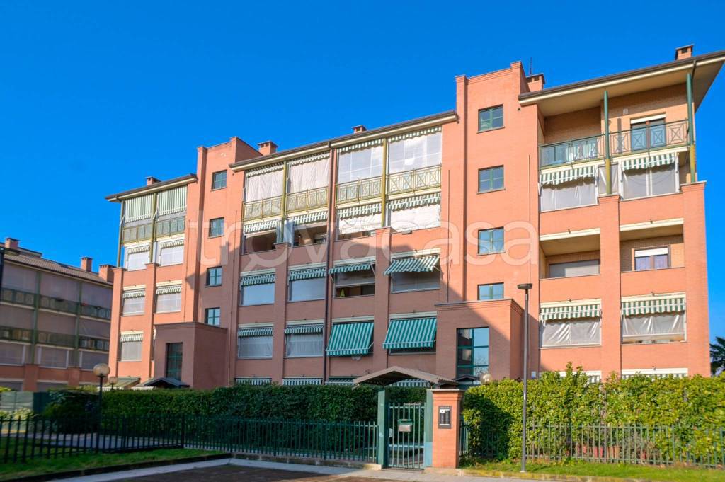 immagine annuncio 5 di 15