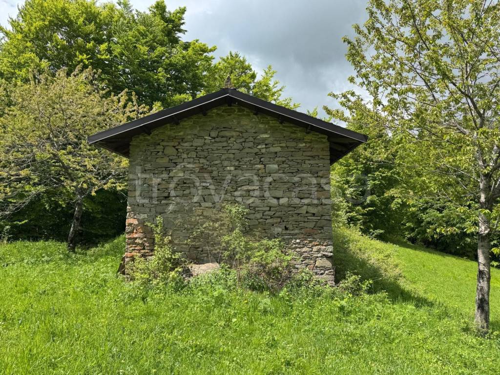 immagine annuncio 8 di 14