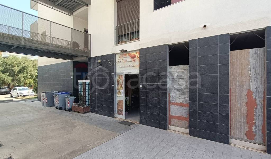 immagine annuncio 12 di 14