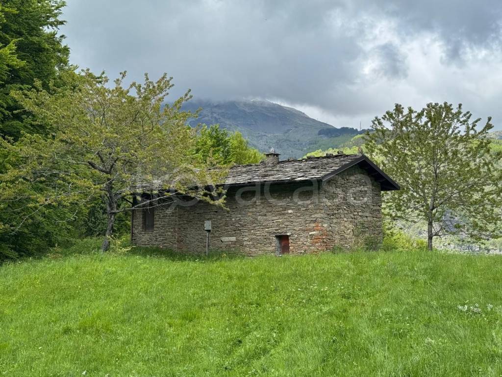 immagine annuncio 1 di 14