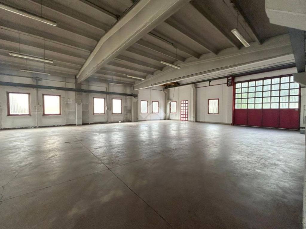 immagine annuncio 3 di 10