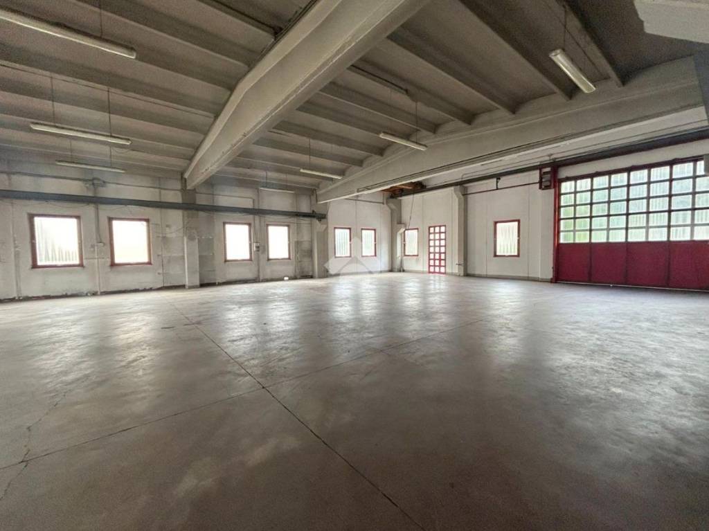 immagine annuncio 7 di 10