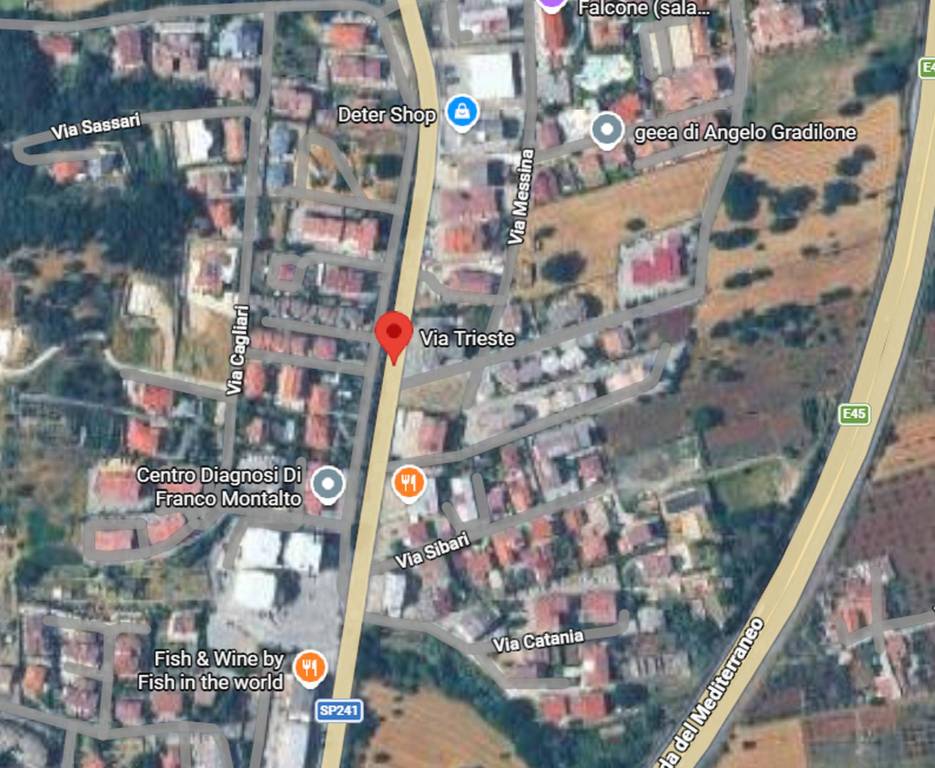 immagine annuncio 2 di 11